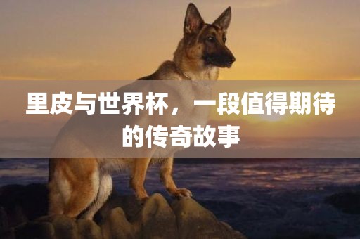 里皮与世界杯，一段值得期待的传奇故事