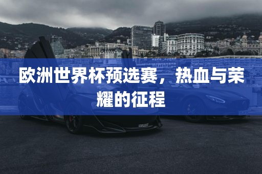 欧洲世界杯预选赛，热血与荣耀的征程