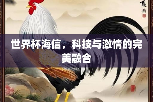 世界杯海信，科技与激情的完美融合