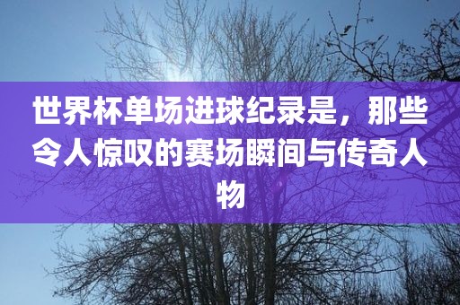 世界杯单场进球纪录是，那些令人惊叹的赛场瞬间与传奇人物