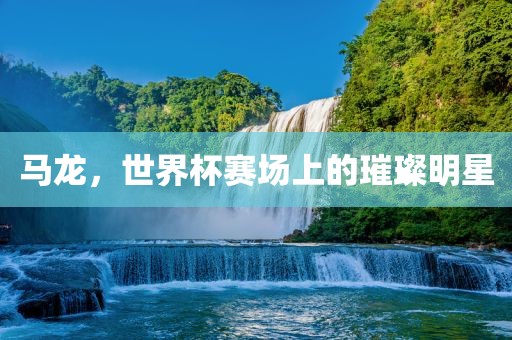 马龙，世界杯赛场上的璀璨明星