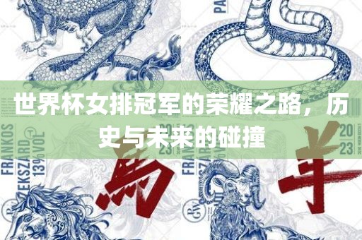 世界杯女排冠军的荣耀之路，历史与未来的碰撞