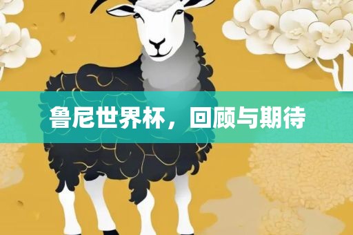鲁尼世界杯，回顾与期待