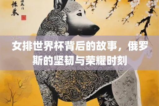 女排世界杯背后的故事，俄罗斯的坚韧与荣耀时刻