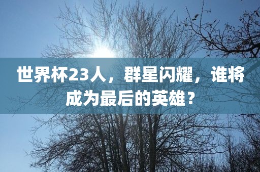 世界杯23人，群星闪耀，谁将成为最后的英雄？