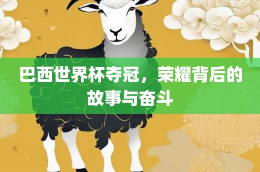 巴西世界杯夺冠，荣耀背后的故事与奋斗