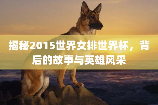 揭秘2015世界女排世界杯，背后的故事与英雄风采