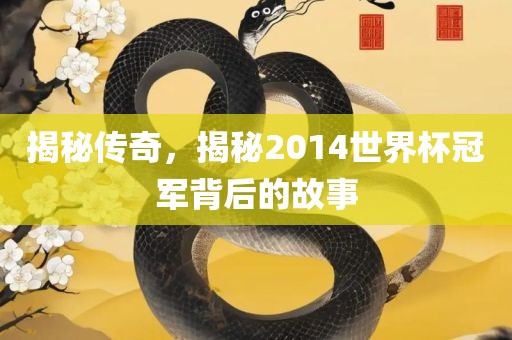 揭秘传奇，揭秘2014世界杯冠军背后的故事