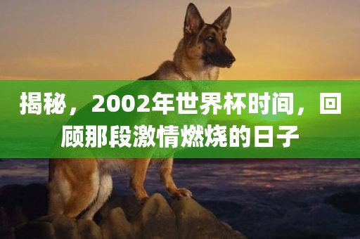 揭秘，2002年世界杯时间，回顾那段激情燃烧的日子