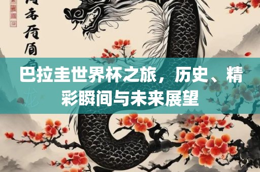 巴拉圭世界杯之旅，历史、精彩瞬间与未来展望