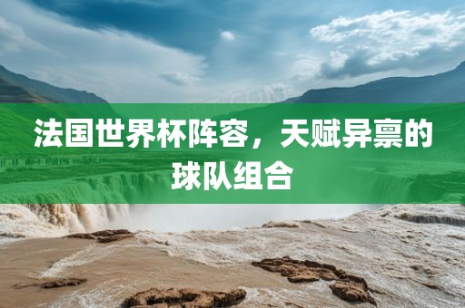 法国世界杯阵容，天赋异禀的球队组合