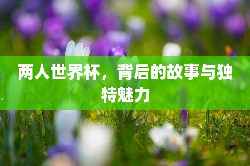 两人世界杯，背后的故事与独特魅力