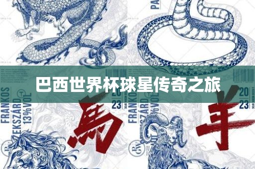 巴西世界杯球星传奇之旅