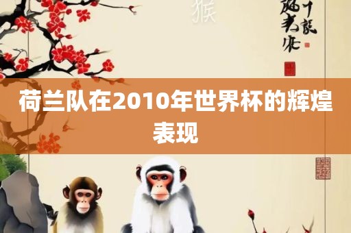 荷兰队在2010年世界杯的辉煌表现