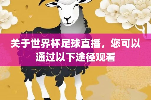 关于世界杯足球直播，您可以通过以下途径观看