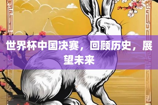世界杯中国决赛，回顾历史，展望未来