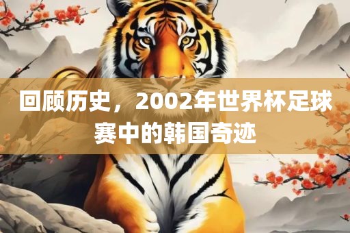 回顾历史，2002年世界杯足球赛中的韩国奇迹