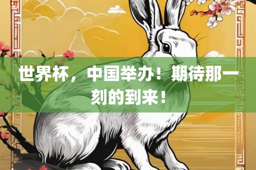 世界杯，中国举办！期待那一刻的到来！