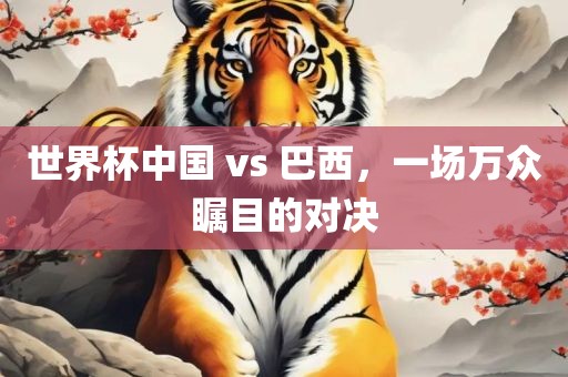 世界杯中国 vs 巴西，一场万众瞩目的对决