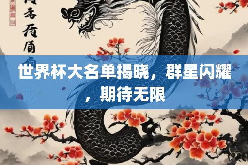世界杯大名单揭晓，群星闪耀，期待无限眉山市正发家政服务有限公司
