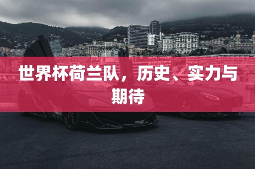 世界杯荷兰队，历史、实力与期待