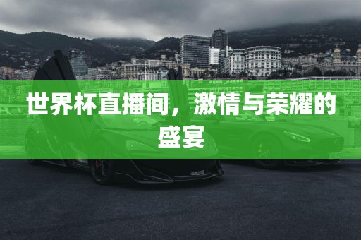 世界杯直播间，激情眉山市正发家政服务有限公司与荣耀的盛宴