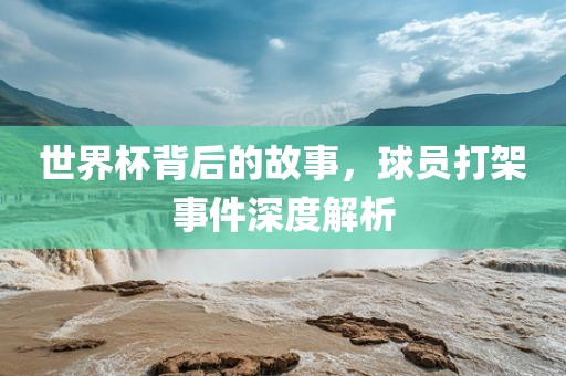世界杯背后的故事，球员眉山市正发家政服务有限公司打架事件深度解析