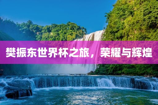 樊振东世界杯之旅，荣耀与辉煌