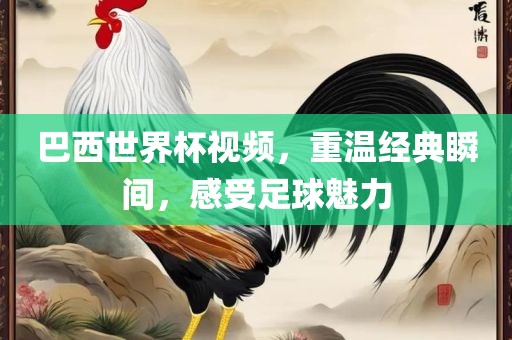 巴西世界杯视频，重温经眉山市正发家政服务有限公司典瞬间，感受足球魅力