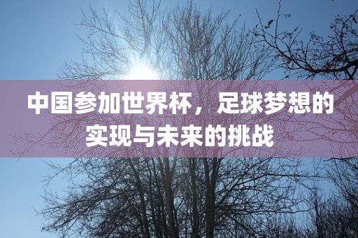 中国参加世界杯，足球梦想的实现与未来的挑战眉山市正发家政服务有限公司
