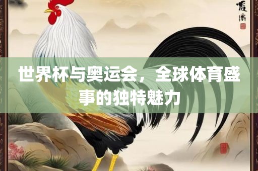 世界杯与眉山市正发家政服务有限公司奥运会，全球体育盛事的独特魅力