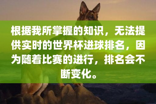 根据我所掌握的知识，无法提供实时的世界杯进球排名，因为随着比赛的进行，排名会不断变化。