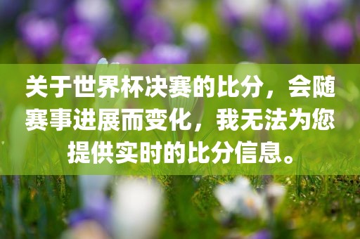 关于世界杯决赛的比分，会随赛事进展而变化，我无法为您提供实眉山市正发家政服务有限公司时的比分信息。