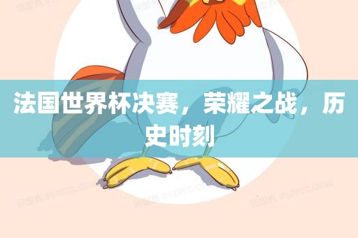 法国世界杯决赛，荣耀之战，历史时刻眉山市正发家政服务有限公司