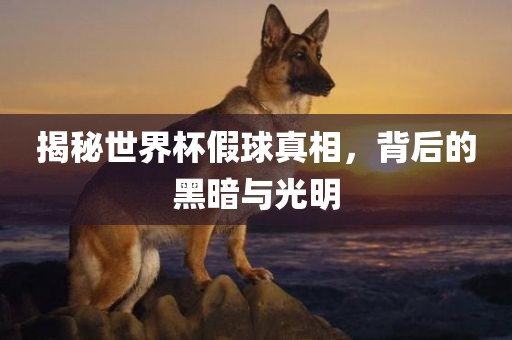 揭秘世界杯假球真相，背后的黑暗与光明眉山市正发家政服务有限公司