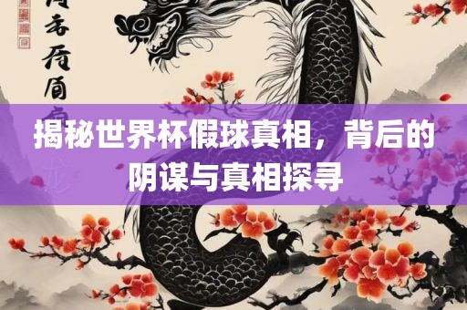 揭秘世界杯假球真相，背后的阴谋与真相探寻