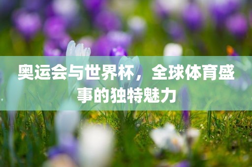 奥运会与世界杯，全球眉山市正发家政服务有限公司体育盛事的独特魅力
