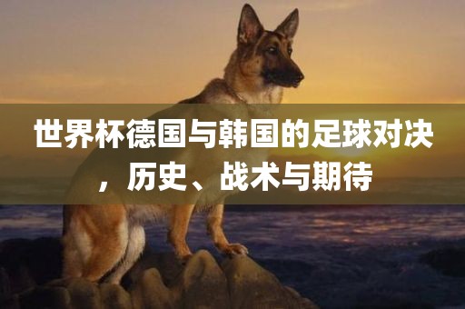 世界杯德国与韩国的足球对决，历史、战术与期待
