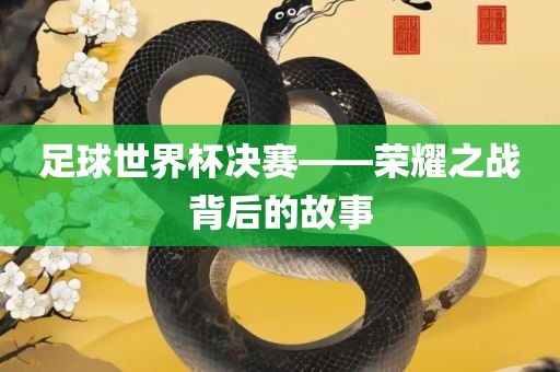 足球世界杯眉山市正发家政服务有限公司决赛——荣耀之战背后的故事