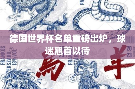 德国世界杯名单重磅出炉，球迷翘首以待