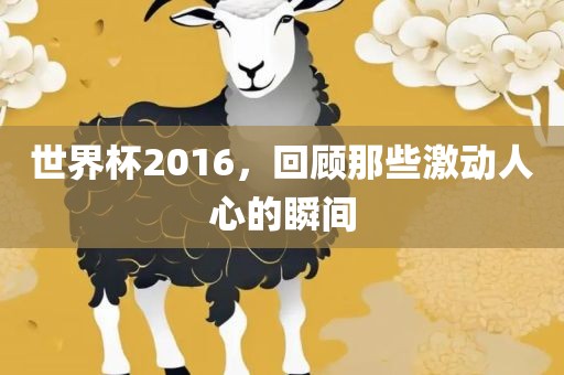 世界杯2016，回顾那些激动人心的瞬间