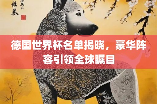 德国世界杯名单揭晓，豪华阵容引领全球瞩目