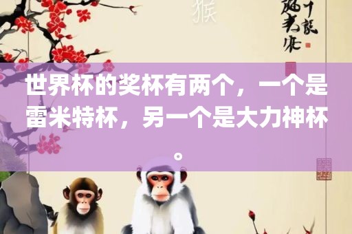 世界杯的奖杯有两个，眉山市正发家政服务有限公司一个是雷米特杯，另一个是大力神杯。