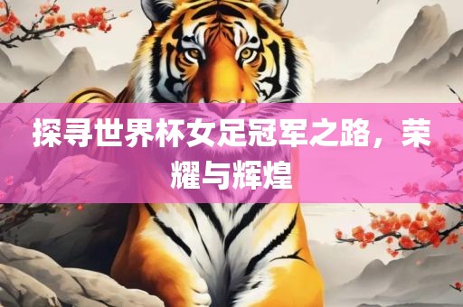 探寻世界杯女足冠军之路，荣耀与辉煌
