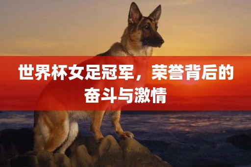 世界杯女足冠军，荣誉背后的奋斗与激情
