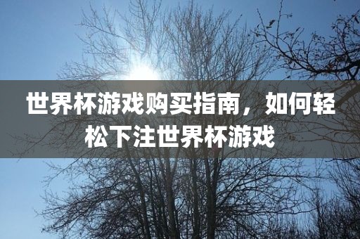 世界杯游戏购买指南，如何轻松下注世界杯游戏眉山市正发家政服务有限公司