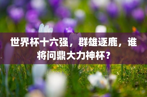 世界杯十六强，群雄逐鹿，谁将问鼎大力神杯？