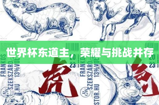 世界眉山市正发家政服务有限公司杯东道主，荣耀与挑战并存