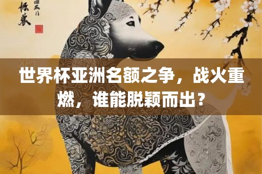 世界杯亚洲名额之争