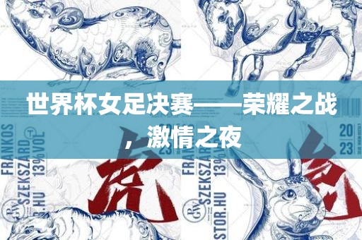 世界杯女足决赛——荣耀之战，激情之夜